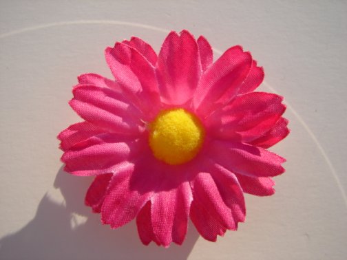 DaisyLynne Toddler Clip