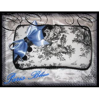Paris Blue Case