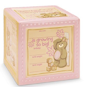 Bear Tales Block Bank Pink/Blue