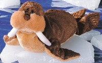 Walton Walrus 13"