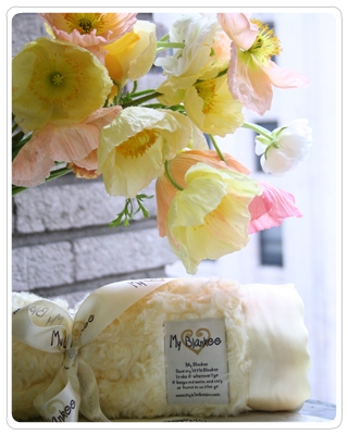 My Blankee Snail Blanket